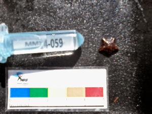  ( - MM14-059)  @11 [ ] CreativeCommons - Attribution  SAIAB SAIAB