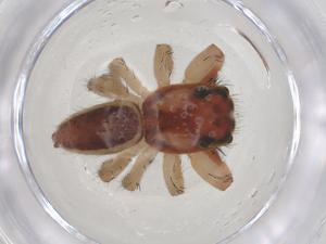  ( - CBG-B00060-E04)  @11 [ ] CreativeCommons - Attribution Share - Alike (2025) Centre for Biodiversity Genomics Centre for Biodiversity Genomics