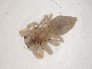  ( - CBG-B00756-A07)  @11 [ ] CreativeCommons - Attribution Share - Alike (2025) Centre for Biodiversity Genomics Centre for Biodiversity Genomics