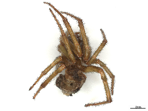  ( - CBG-B00902-E04)  @11 [ ] CreativeCommons - Attribution Share - Alike (2025) CBG Photography Group Centre for Biodiversity Genomics