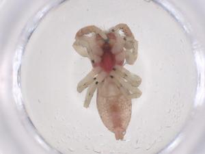  ( - CBG-B01537-B06)  @11 [ ] CreativeCommons - Attribution Share - Alike (2025) Centre for Biodiversity Genomics Centre for Biodiversity Genomics