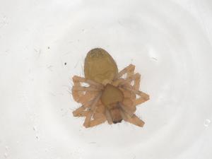  ( - CBG-B05006-H07)  @11 [ ] CreativeCommons - Attribution Share - Alike (2025) Centre for Biodiversity Genomics Centre for Biodiversity Genomics