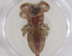  ( - CBG-B05084-B10)  @11 [ ] CreativeCommons - Attribution Share - Alike (2025) Centre for Biodiversity Genomics Centre for Biodiversity Genomics