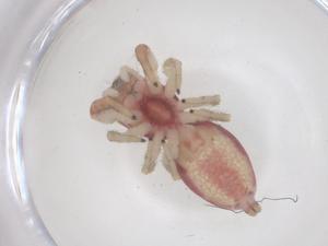  ( - CBG-B05084-F04)  @11 [ ] CreativeCommons - Attribution Share - Alike (2025) Centre for Biodiversity Genomics Centre for Biodiversity Genomics