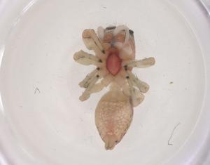  ( - CBG-B05087-A03)  @11 [ ] CreativeCommons - Attribution Share - Alike (2025) Centre for Biodiversity Genomics Centre for Biodiversity Genomics