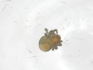  ( - CBG-B21028-H05)  @11 [ ] CreativeCommons - Attribution Share - Alike (2025) Centre for Biodiversity Genomics Centre for Biodiversity Genomics