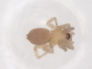  ( - CBG-B21049-G07)  @11 [ ] CreativeCommons - Attribution Share - Alike (2025) Centre for Biodiversity Genomics Centre for Biodiversity Genomics