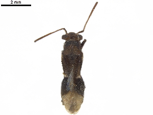  ( - CCDB-34776-F06)  @11 [ ] CreativeCommons - Attribution (2019) Smithsonian Institution Smithsonian Institution