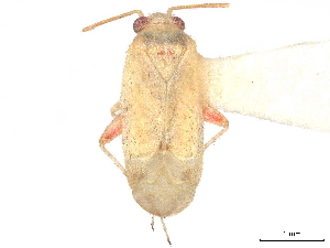  ( - CCDB-34779-C12)  @11 [ ] CreativeCommons - Attribution (2019) Smithsonian Institution Smithsonian Institution