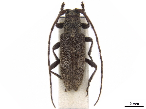  ( - CCDB-35901-H10)  @11 [ ] CreativeCommons - Attribution (2020) Smithsonian Institution Smithsonian Institution