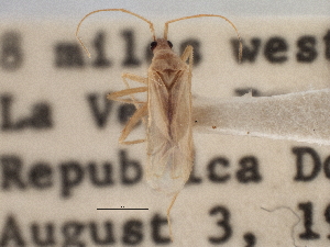  ( - CCDB-21309-F04)  @11 [ ] CreativeCommons - Attribution (2013) CBG Photography Group Centre for Biodiversity Genomics