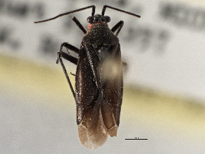  ( - CCDB-21311-C10)  @11 [ ] CreativeCommons - Attribution (2013) CBG Photography Group Centre for Biodiversity Genomics