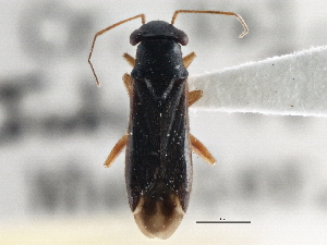 ( - CCDB-21314-B08)  @11 [ ] CreativeCommons - Attribution (2013) CBG Photography Group Centre for Biodiversity Genomics