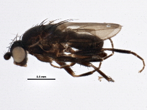  ( - BIOUG05650-A11)  @12 [ ] CreativeCommons - Attribution (2013) CBG Photography Group Centre for Biodiversity Genomics