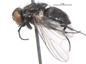  ( - BIOUG05540-F09)  @14 [ ] CreativeCommons - Attribution (2012) CBG Photography Group Centre for Biodiversity Genomics