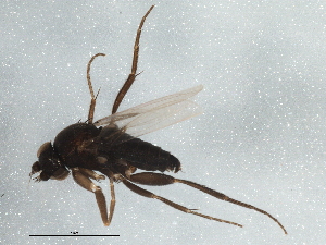  ( - BIOUG05548-E10)  @12 [ ] CreativeCommons - Attribution (2013) CBG Photography Group Centre for Biodiversity Genomics