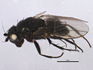  ( - BIOUG16100-F10)  @14 [ ] CreativeCommons - Attribution (2014) CBG Photography Group Centre for Biodiversity Genomics