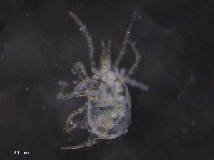  ( - BIOUG31120-E12)  @11 [ ] CreativeCommons - Attribution (2019) CBG Photography Group Centre for Biodiversity Genomics