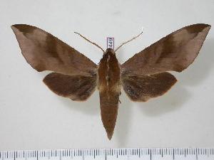  ( - BC-Hax1449)  @14 [ ] Copyright (2010) Jean Haxaire Research Collection of Jean Haxaire