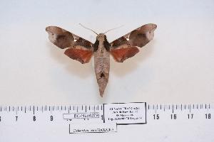  ( - BC-Hax4379)  @13 [ ] Copyright (2010) Jean Haxaire Research Collection of Jean Haxaire