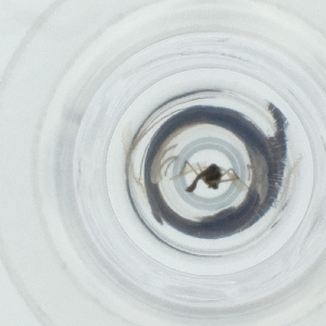  ( - SPGW_012_C4)  @11 [ ] by  Genome Research Ltd as Wellcome Sanger Institute Genome Research Limited operating as Wellcome Sanger Institute