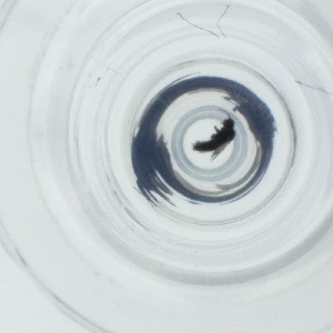  ( - SPGW_017_A7)  @11 [ ] by  Genome Research Ltd as Wellcome Sanger Institute Genome Research Limited operating as Wellcome Sanger Institute