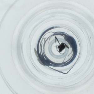  ( - SPGW_018_E3)  @11 [ ] by  Genome Research Ltd as Wellcome Sanger Institute Genome Research Limited operating as Wellcome Sanger Institute