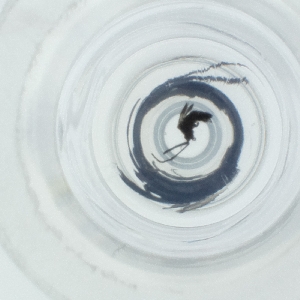  ( - SPGW_019_A4)  @11 [ ] by  Genome Research Ltd as Wellcome Sanger Institute Genome Research Limited operating as Wellcome Sanger Institute