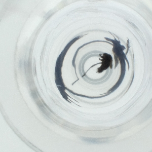  ( - SPGW_019_B7)  @11 [ ] by  Genome Research Ltd as Wellcome Sanger Institute Genome Research Limited operating as Wellcome Sanger Institute