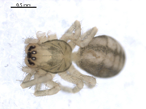  ( - BIOUG00165-H06)  @12 [ ] CC-0  G. Blagoev 2010 Unspecified