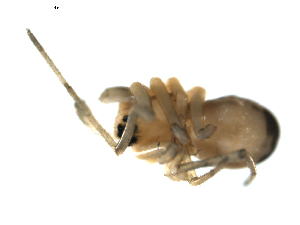  ( - BIOUG00612-H02)  @12 [ ] CC-0  G. Blagoev 2010 Unspecified
