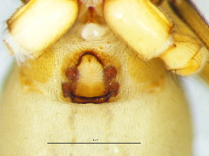  ( - Afaf_NMBA_19700_F)  @11 [ ] Creative Commons  Attribution Share-Alike (by-sa) (2025) Charles Haddad University of the Free State