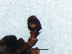  ( - Staf_NMBA_19724_M)  @11 [ ] Creative Commons  Attribution Share-Alike (by-sa) (2025) Charles Haddad University of the Free State