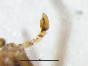  ( - Phsp_NMBA_19762_M)  @11 [ ] Creative Commons  Attribution Share-Alike (by-sa) (2025) Charles Haddad University of the Free State