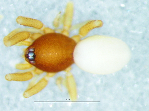  ( - Augr_NMBA_20142_M)  @11 [ ] Creative Commons  Attribution Share-Alike (by-sa) (2025) Charles Haddad University of the Free State