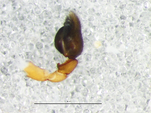  ( - Thab_NMBA_20162_M)  @11 [ ] Creative Commons  Attribution Share-Alike (by-sa) (2025) Charles Haddad University of the Free State