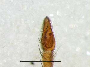  ( - Mesc_NMBA_20206_M)  @11 [ ] Creative Commons  Attribution Share-Alike (by-sa) (2025) Charles Haddad University of the Free State