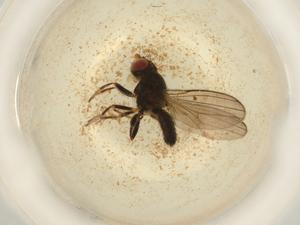  ( - BIOUG50496-D05)  @11 [ ] CreativeCommons - Attribution (2022) Centre for Biodiversity Genomics Centre for Biodiversity Genomics