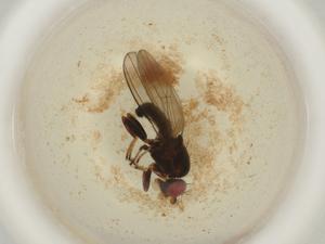  ( - BIOUG50496-E12)  @11 [ ] CreativeCommons - Attribution (2022) Centre for Biodiversity Genomics Centre for Biodiversity Genomics