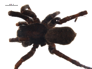  ( - BIOUG01974-B05)  @12 [ ] Copyright  G. Blagoev 2012 Unspecified