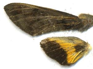  ( - DB-03-2017)  @12 [ ] Copyright (2010) Kim Mitter University of Maryland