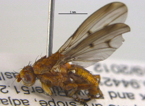  ( - BIOUG03857-D10)  @13 [ ] CreativeCommons - Attribution (2012) CBG Photography Group Centre for Biodiversity Genomics