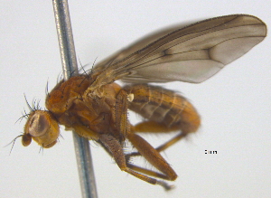  ( - BIOUG03857-G10)  @14 [ ] CreativeCommons - Attribution (2012) CBG Photography Group Centre for Biodiversity Genomics