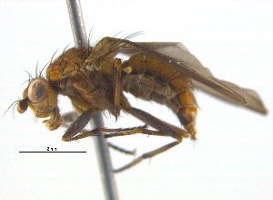  ( - BIOUG03858-B04)  @14 [ ] CreativeCommons - Attribution (2012) CBG Photography Group Centre for Biodiversity Genomics