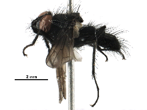  ( - BIOUG25043-D02)  @14 [ ] CreativeCommons - Attribution (2016) CBG Photography Group Centre for Biodiversity Genomics