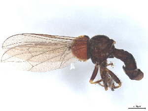  ( - BIOUG25044-H02)  @11 [ ] CreativeCommons - Attribution (2025) CBG Photography Group Centre for Biodiversity Genomics