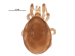  ( - BIOUG23027-B04)  @14 [ ] CreativeCommons - Attribution (2015) CBG Photography Group Centre for Biodiversity Genomics