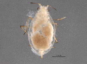  ( - BIOUG06659-B01)  @12 [ ] CreativeCommons - Attribution (2014) CBG Photography Group Centre for Biodiversity Genomics