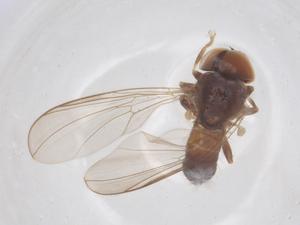  ( - BIOUG22138-C07)  @11 [ ] CreativeCommons - Attribution Share - Alike (2025) Centre for Biodiversity Genomics Centre for Biodiversity Genomics