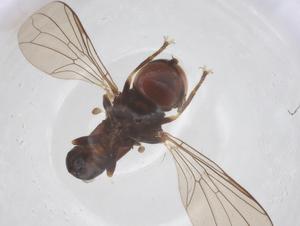  ( - BIOUG22542-B12)  @11 [ ] CreativeCommons - Attribution Share - Alike (2025) Centre for Biodiversity Genomics Centre for Biodiversity Genomics